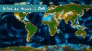 How Influenza Pandemics Occur [upl. by Hendel]