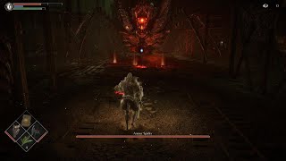 Demons Souls Armor Spider Boss Fight [upl. by Gerita828]