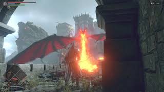 How to kill the Dragon at Lords Path  Demons Souls [upl. by Cammi]