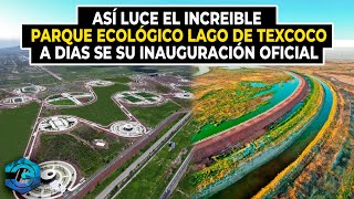 Así Luce El Increíble Parque Ecológico Lago De Texcoco [upl. by Ennairda672]