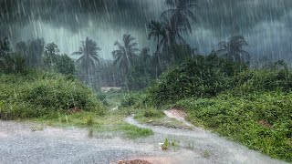 Rainforest Trails Fresh Air amp Rain Sounds for Relex Sleep Rain sounds for sleep amp meditation [upl. by Semela625]