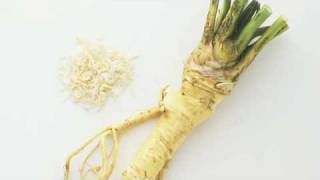 Growing Herbs  How to Grow Horseradish [upl. by Nylzaj]