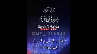 Surah Al Maida ❤️سورةالمائدہ islamicshortsراحةنفسية qurantranslationhd ytshortsارحقلبكfby [upl. by Namlaz890]