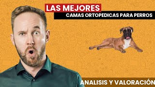 Las MEJORES CAMAS ORTOPÉDICAS para Perros y Gatos Los más TOP 2021 [upl. by Etteniuqna]