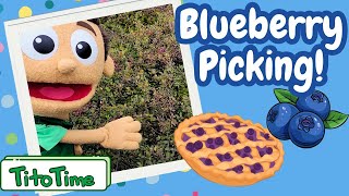 Alaskan Blueberry Picking Adventure Puppets Pick Blueberries  Videos for Kids [upl. by Nari]