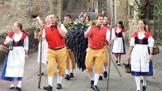 Kompletter Festzug Winzerfest Besigheim 2017 [upl. by Alby]