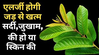 एलर्जी चाहे सर्दी ज़ुखाम की हो या स्किन की जड़ से ख़त्म हो जायेगी Get Cure Allergy in Natural Way [upl. by Oirasor393]