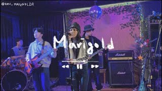 Marigold  aimyon 밴드커버 경희대학교 마그놀리아 240128 정기공연 [upl. by Bar748]