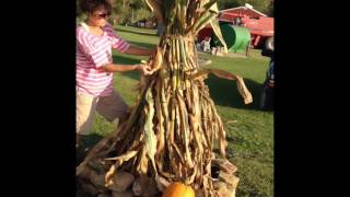 How to make a cornstalk decoration [upl. by Nhepets]