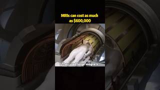 MEls can cost as much as 600000inventor health check lesion youtube foryou [upl. by Mile939]