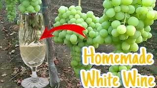 Making White Wine  How To Make Wine At Home [upl. by Shalom]