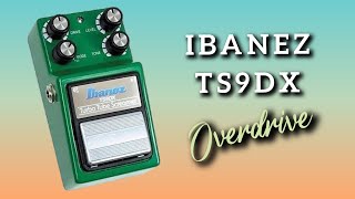 Ibanez TS9DX Turbo Tube Screamer Sounds Demo [upl. by Higley]