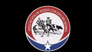 Serie de Campeones  Club rodeo Huepil  Cerrillos  Medialuna Los Ángeles Socabio [upl. by Allemap420]