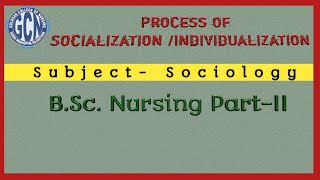 Process of Socialization Individualization [upl. by Sekoorb]