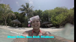 Diving amp Snorkeling The House Reef Dhuni Kolhu Baa Atoll Maldives [upl. by Thorny444]