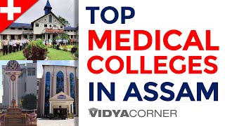 8 Best Medical Colleges in Assam  Govt amp Private Colleges  MBBS Seats  Fee in Assam  PART I [upl. by Wera744]