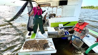 20000 Shrimp and a BOAT Full of WATER in less then 4 HOURS Catch amp Cook Cajun Style [upl. by Karyl]