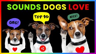 Top 10 Sounds Dogs Love GUARANTEED [upl. by Oribella117]