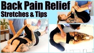 Back Pain Stretches amp Exercises  At Home Pain Relief Physical Therapy amp Sports Massage [upl. by Bassett266]