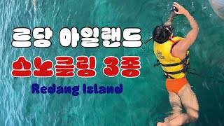 SUB🇲🇾 파라다이스 르당 아일랜드 스노클링 3종 물고기부터 거북이까지  Redang Island Malaysia 2 [upl. by Ahsym536]