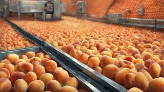 quotGolden Journey From Cannad Orchards to Innovation Factory  A Story of Millions of Peachesquot [upl. by Ojok]