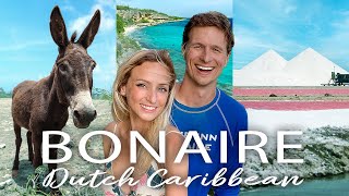 BONAIRE Travel Guide 🇧🇶 30 BEST things to do cost amp more  our vlog [upl. by Notned]