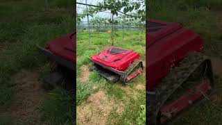 dealerremote control lawn mowerLawn mower Agriculturalmachinery farmland orchards technology [upl. by Ettenrahs]