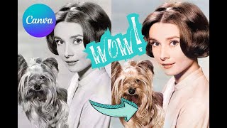 How to colorize black and white photos in canva [upl. by Strait900]