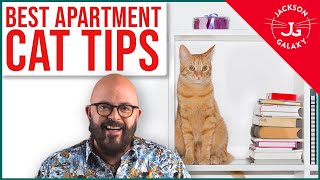 BEST Apartment Cat Hacks [upl. by Teeniv]