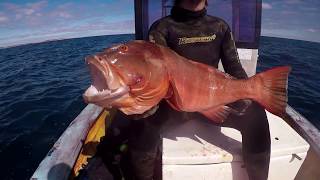 Spearfishing Big Tuna Mackerel and Lobster in Crazy Clear Water  Western Australia [upl. by Dilan]