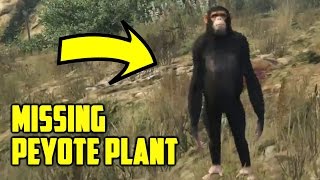 2 MISSING PEYOTE PLANTS CHIMPANZEE PEYOTE PLANT In GTA 5 [upl. by Yennep426]