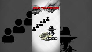 How Cartels Are Laundering Money Through Casinocartelsblackmoney casinomoneylaundringwhitemoney [upl. by Attenyl]