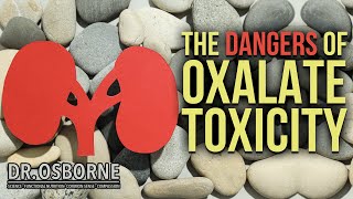 The Dangers of Oxalate Toxicity [upl. by Neelloj549]