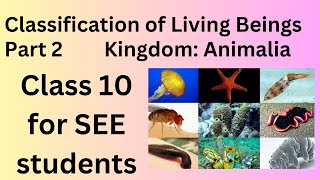 Classification of Living Beings Class10SEE  Part 2  Kingdom Animalia Science and Technology [upl. by Naivad715]