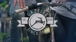 Koninklijke Gazelle Al 125 jaar  Gazellenl [upl. by Nary]