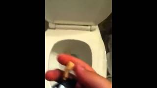 Flushing stuff down the toilet episode1 [upl. by Brelje]