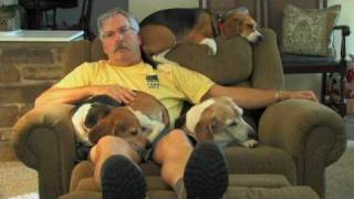 The LAZY Beagle Chair [upl. by Ritz]