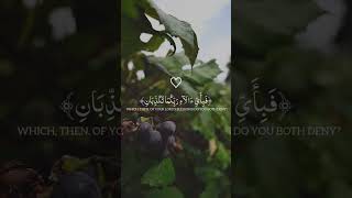 fabi ayyi ala i rabbikuma tukazziban in arabic with english translation foryou shortvideo shorts [upl. by Rudin638]