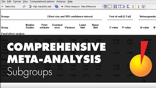 MetaAnalysis Subgroups  Comprehensive MetaAnalysis [upl. by Yasdnyl775]