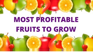 MOST PROFITABLE FRUITS TO GROW TO MAKE MONEY [upl. by Zielsdorf201]