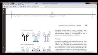 Immunology isotype allotypeidiotype determinants [upl. by Ahsietal245]