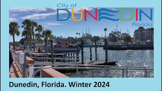 A Wonder Around Dunedin Florida  Jan 2024 [upl. by Jeunesse544]