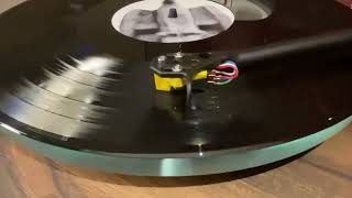 REGA Planar Three P3  50th Anniversary Divine Comedy  Sweden [upl. by Atteirneh]