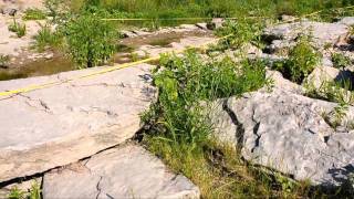 Dinosaur Tracks in Texas [upl. by Anerbes577]