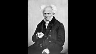 Breve Biografia de Arthur Schopenhauer [upl. by Cowley219]