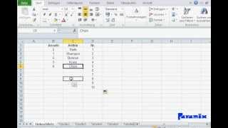 Excel Grundlagen Aufteilung Drag amp Drop Formatierung Inhalte amp Muster Übertragen [upl. by Sikorski654]