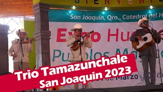 Trio Tamazunchale la Petenera San Joaquin 2023 [upl. by Erbma870]