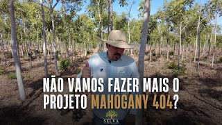 NÃO VAMOS FAZER MAHOGANY 404 ESSE ANO de 2024 [upl. by Nauquf]