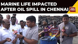 Ennore Oil Spill Fishermen Use Mugs And Funnels To Remove Oil From Estuaries AIADMK Blames CPCL [upl. by Esirehs]