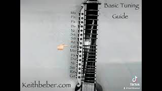 Dilruba amp Esraj Sympathetic String Tuning Guide [upl. by Puduns]